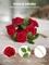 Artificial Flowers, 100 Pcs Dark Red Foam Fake Roses Bulk with Stems for Decoration DIY Wedding Bouquets Centerpieces Bridal Shower Party Christmas Tree